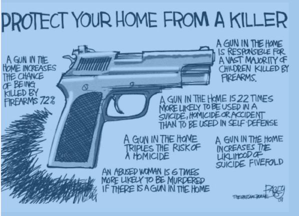 Gun in home