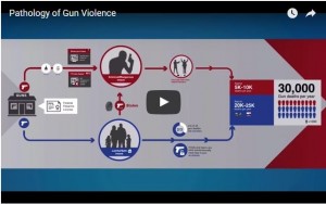 The Pathology of Gun Violence